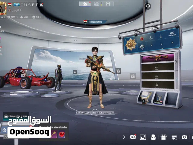 Pubg Accounts and Characters for Sale in Monufia