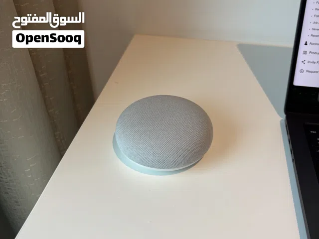 Google mini speaker with assistant