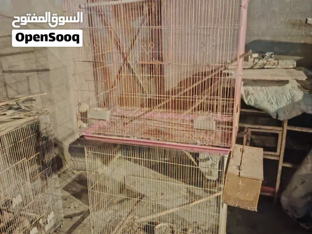 اقفاص حديد مستخدمه