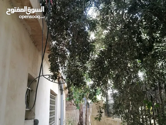 161 m2 5 Bedrooms Apartments for Rent in Amman Al-Thra