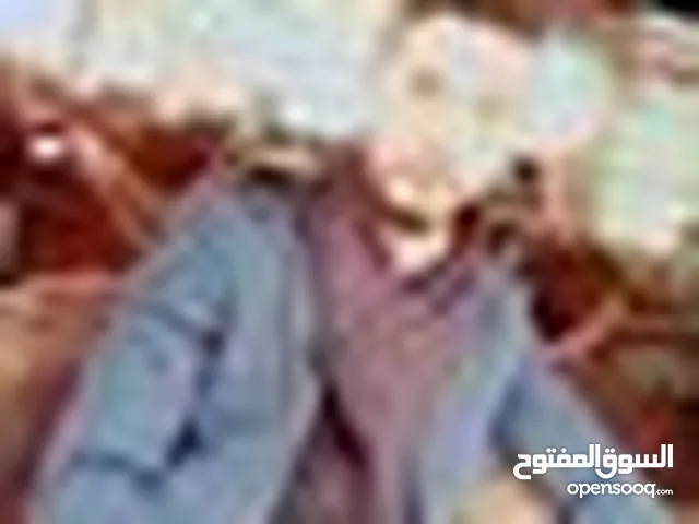 Al Mrayat