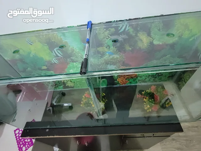 حوض سمك زجاج مع الأكسجين والأشجار