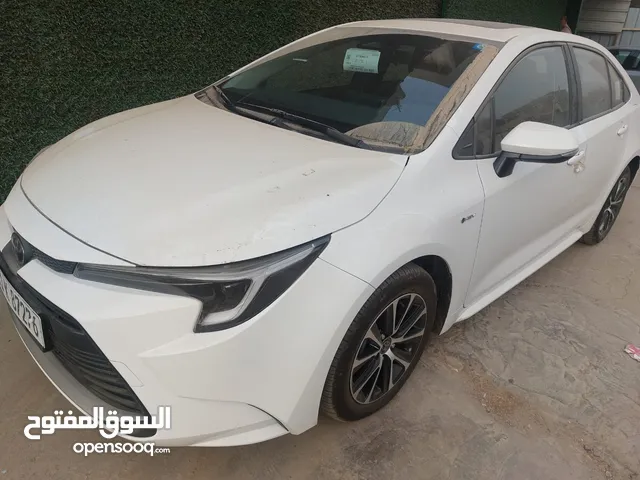 كورلا 2025 خليجية زيرو