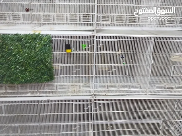 يونت ثلاث طوابق للبيع تفصيل حديد ثقيل شبه وكاله