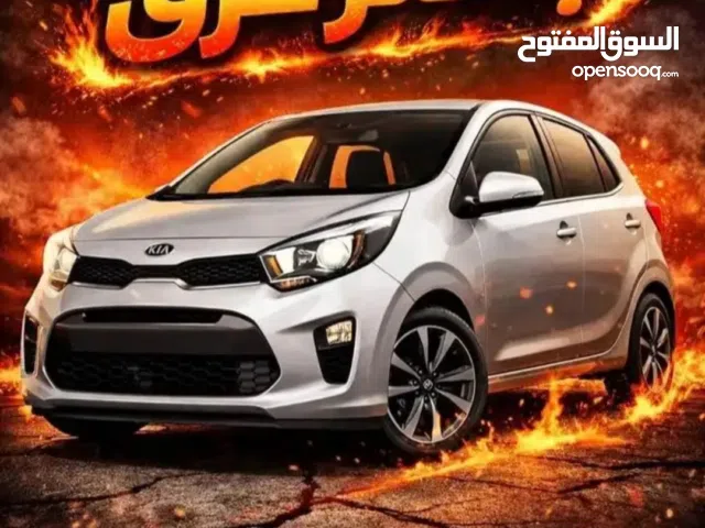 مطلوب مورنج15/16/17 الدفع كاش في رام الله اوقلقيلية