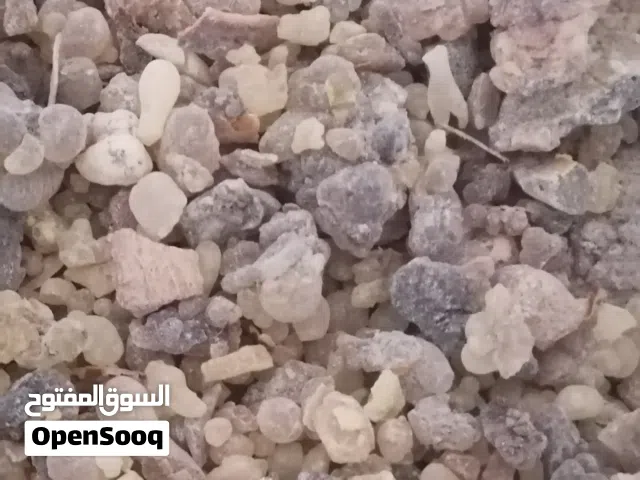 لبان حوجري للبخور بسعر مناسب وبسعر الجونيه
