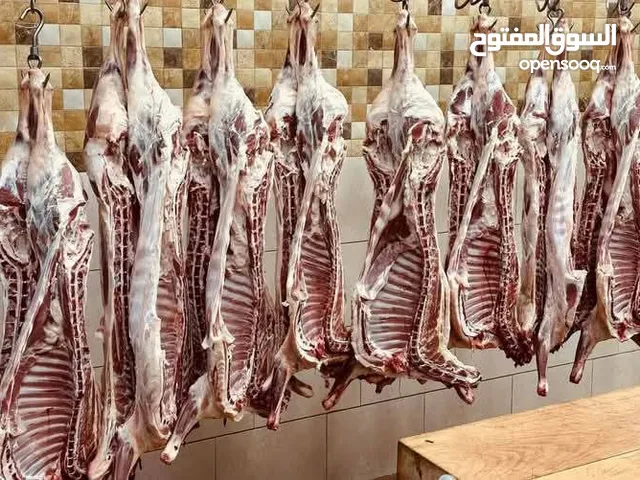 ذباااااائح سوريه وغنم بلدي لدى مزارع ومسالخ التقوى بسعر ينااااسب الجميع ل العقيقة او نذر بس 135 دين