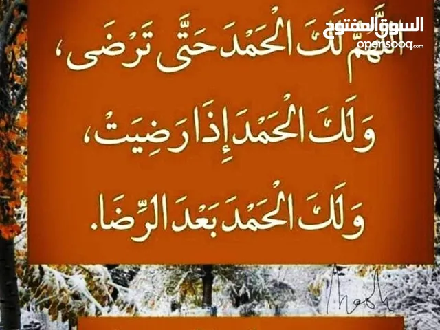معلمة صعوبات تعلم/ المعبيلة