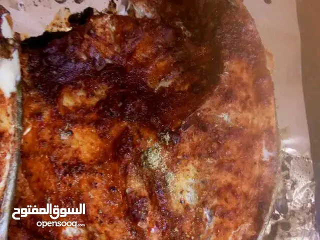 اسماك بحور الحديده للاسماك البحريه الطازجه