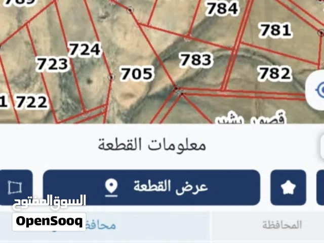 Farm Land for Sale in Al Karak Other