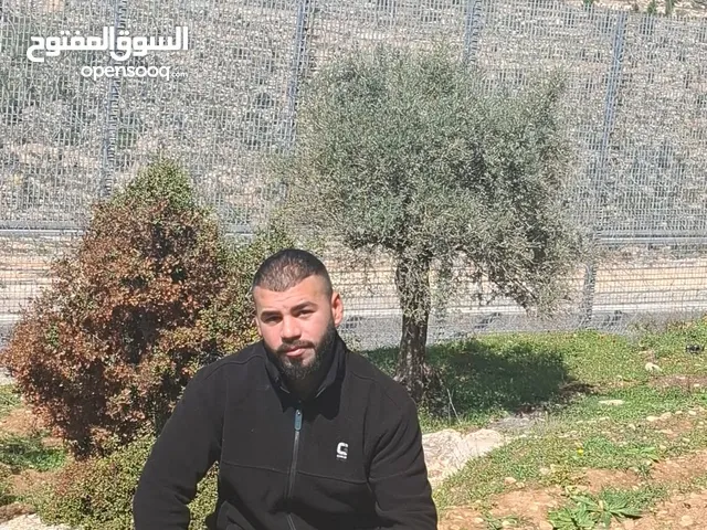 محمد مسام ايراهيم الدبس