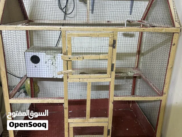 قفص حجم كبير