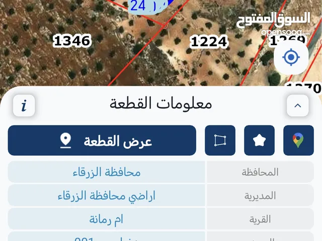 ارض في ام رمانه الزرقاء  579 متر موقع جميل