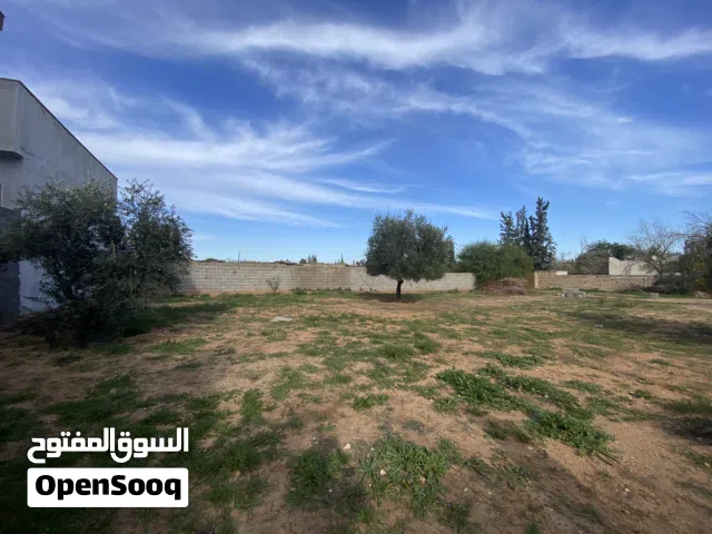 قطعه ارض للبيع مكانها الباعيش بعد شارع استراحه الورد علي يسار