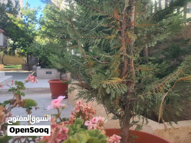 Villa with Beautiful Gardens for Rent in Marj Al-Hamam An exceptional living experience awaits you