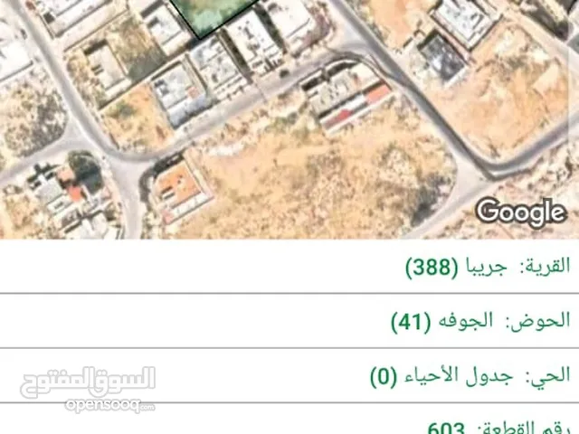محمود محمد