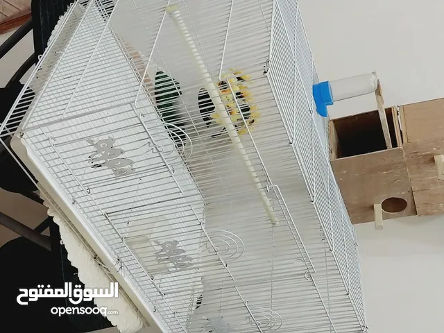 عرطة العرطات قفص طيور كبير 40×60 +اثنين بياضات+مشربية الماء