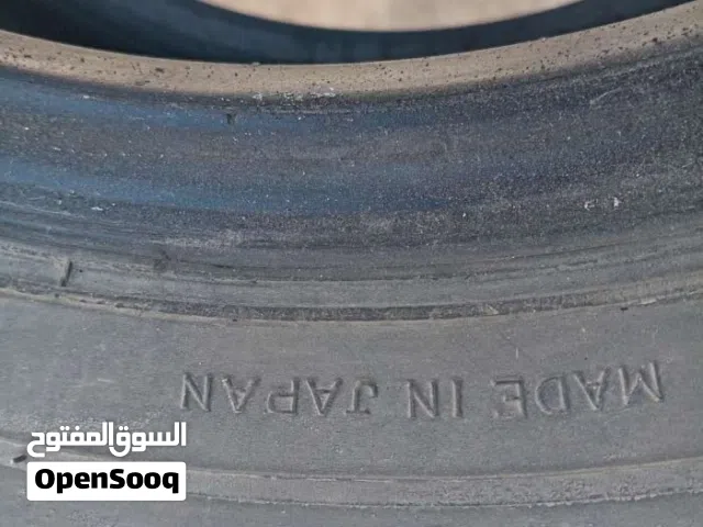 جوز كوشوك دنلوب