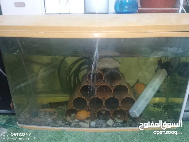 حوض سمك للبيع