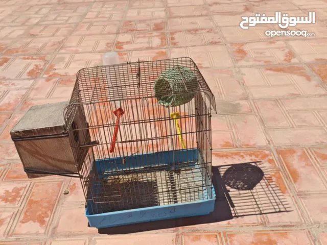 4 اقفاص تامات