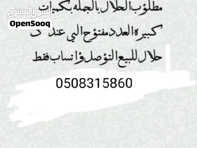 مطلوب الحلال الجمله العدد مفتوح سعر مناسب
