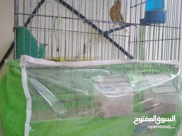 للببع لعدم التفرغ كوم كنار للبيع مع قفص
