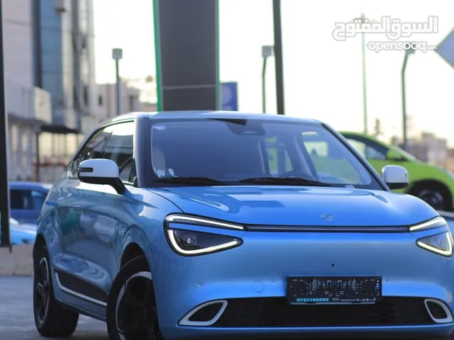 2023, Dongfeng, Nammi Box