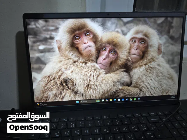 Windows Dell for sale  in Amman