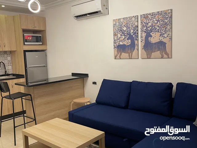 VIP one bedroom apartment