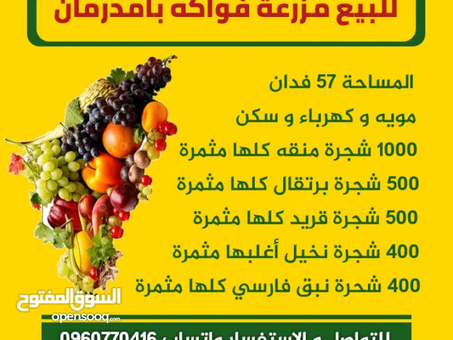 Farm Land for Sale in Khartoum Omdurman