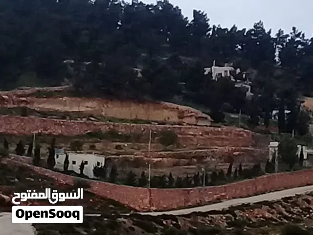 مزرعه مميزه في منطقه نادره