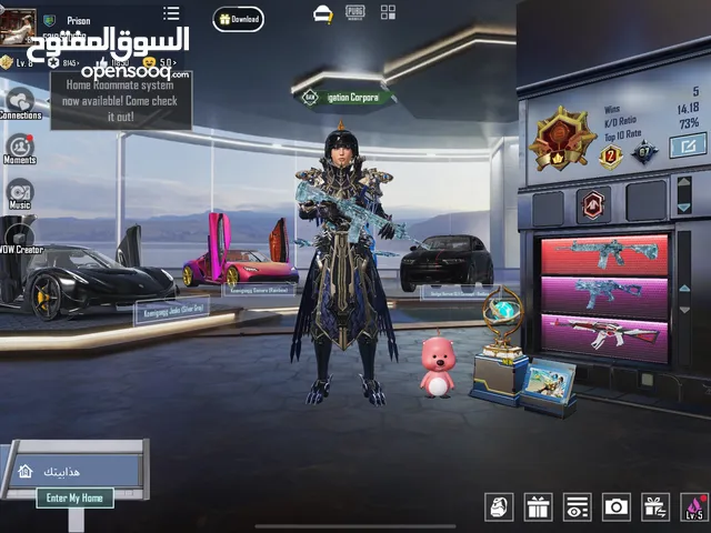 Pubg Accounts and Characters for Sale in Basra