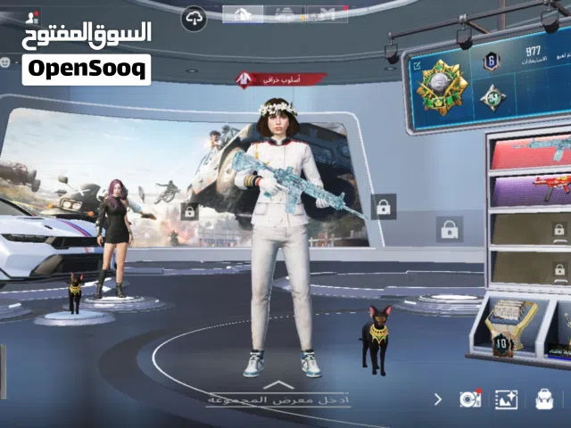Pubg Accounts and Characters for Sale in Tripoli