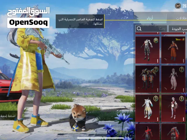 Pubg Accounts and Characters for Sale in Zarqa