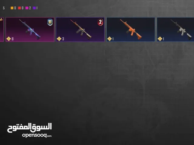 Pubg Accounts and Characters for Sale in Irbid