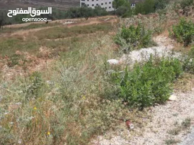 Residential Land for Sale in Ramallah and Al-Bireh Abu Qash