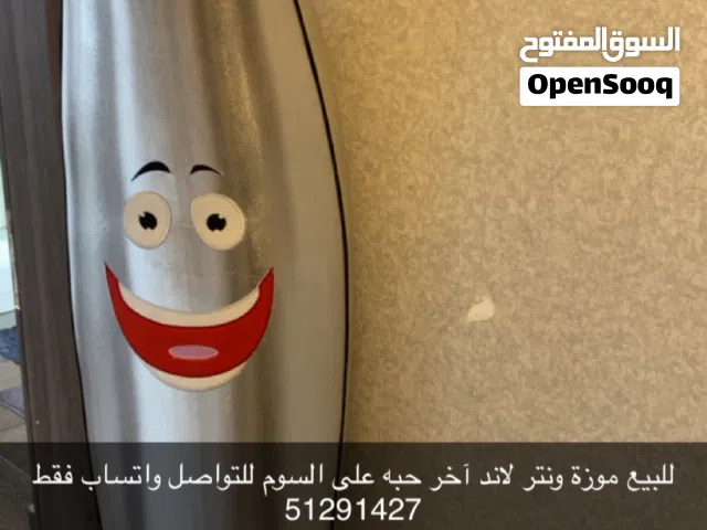 موزة ونتر لاند السلفر