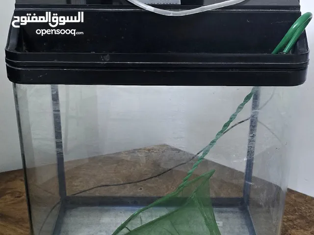 Fish Tank with water filter Used and Clean. Filter working condition..