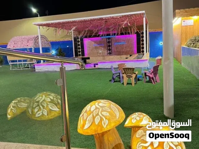 اشكال فطر مضيء للبيع