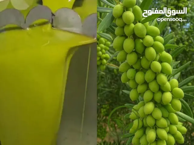 زيت زيتون فلسطيني انتاج جديد