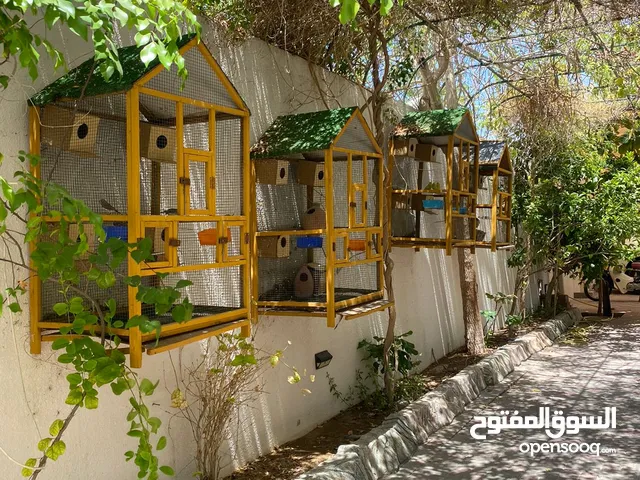 477 m2 More than 6 bedrooms Villa for Sale in Muscat Al Maabilah