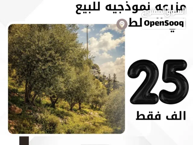مزرعة نموذجيه للبيع في السلط
