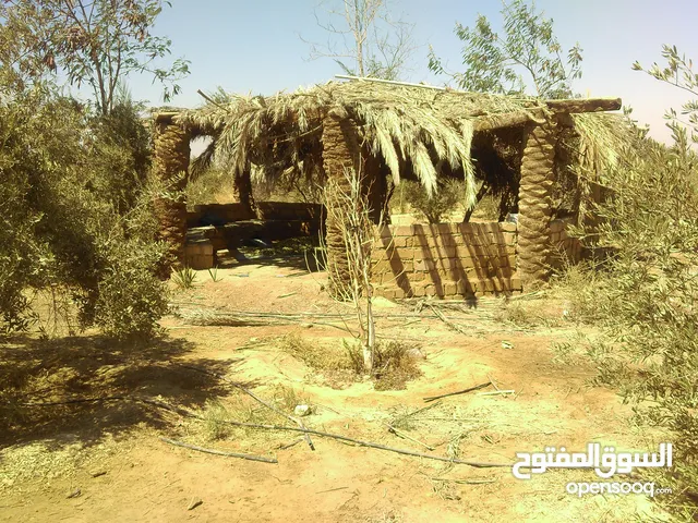Farm Land for Sale in Beni Suef Other