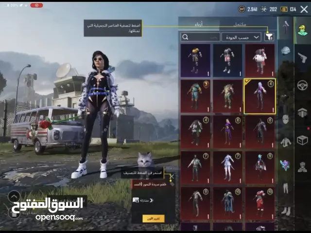 Pubg Accounts and Characters for Sale in Abu Dhabi