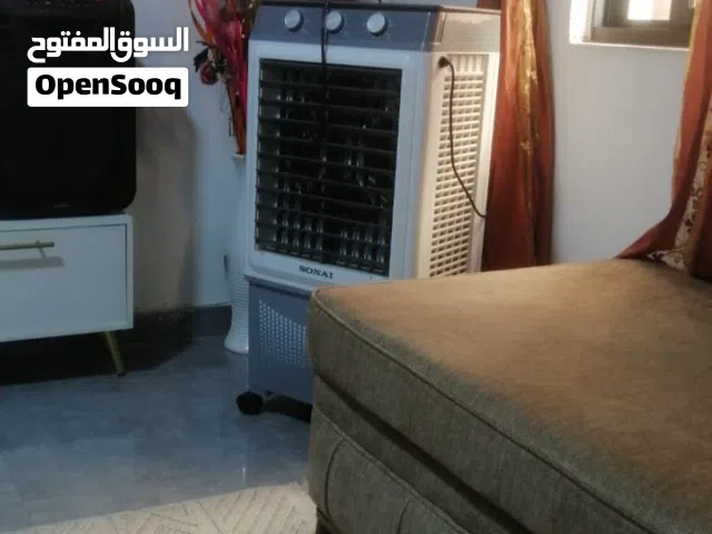 كندشن صحراوي للبيع
