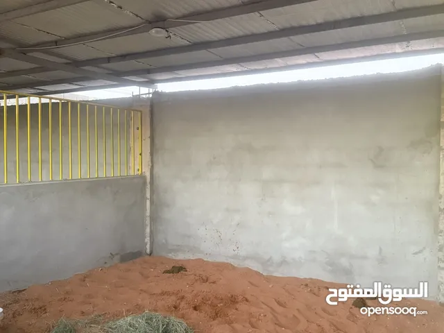 مربط إيواء خيل الرياض