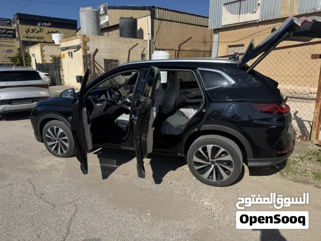 2024, بي واي دي, سونج بلس