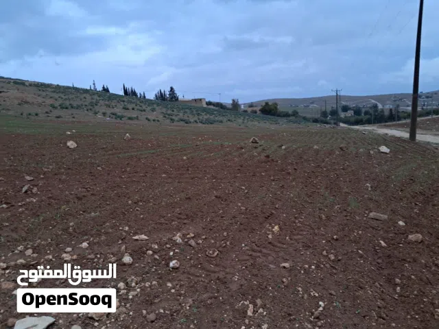 Farm Land for Sale in Mafraq Bala'ama