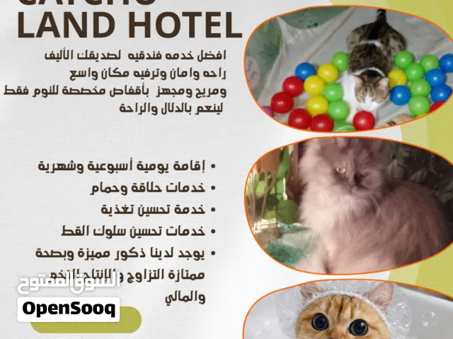 CATCHU LAND HOTEL