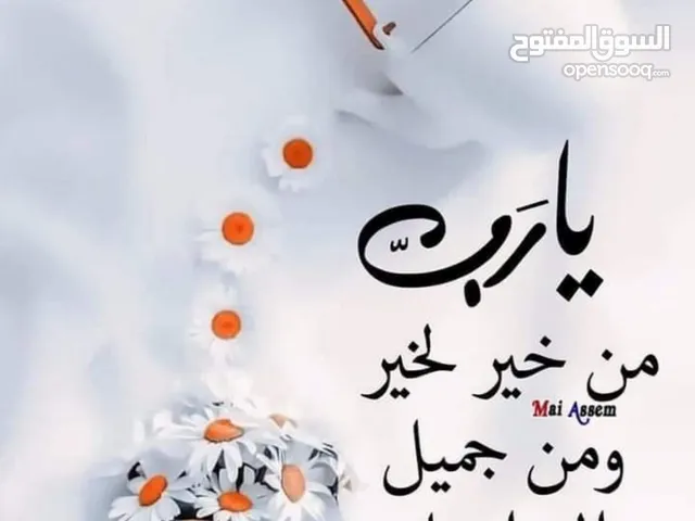 عامرابو اسماعيل